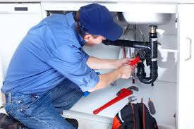 Best Garbage Disposal Repair and Installation  in Milan, MO